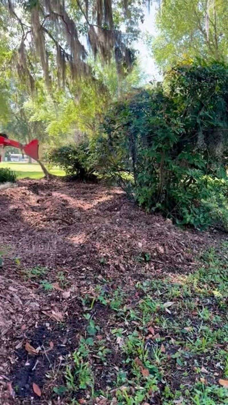 Use mulch to steady moisture around shallow roots Use mulch to steady moisture around shallow roots