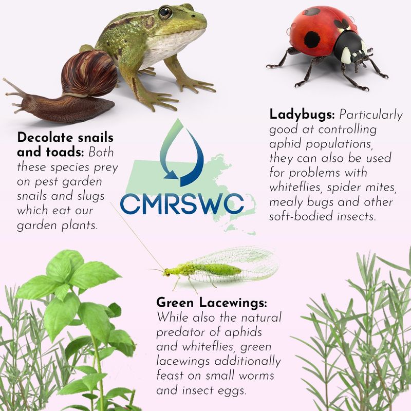 Use pesticides carefully around amphibian habitat
