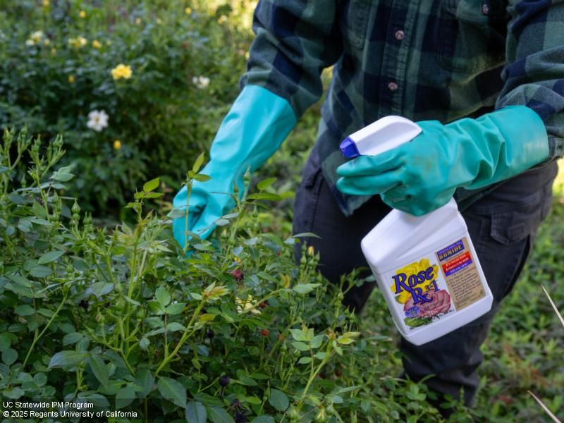 Use pesticides only when monitoring justifies them