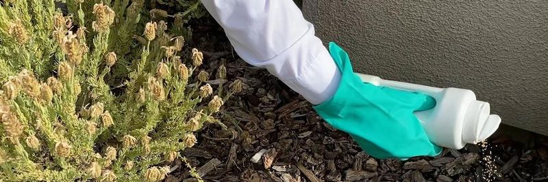 Use pesticides selectively so natural enemies can persist