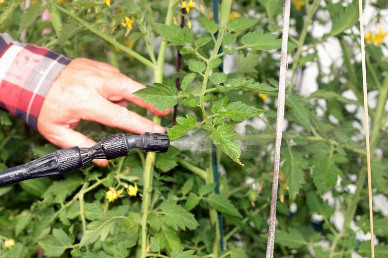 Use pesticides selectively so one treatment does not erase the food web