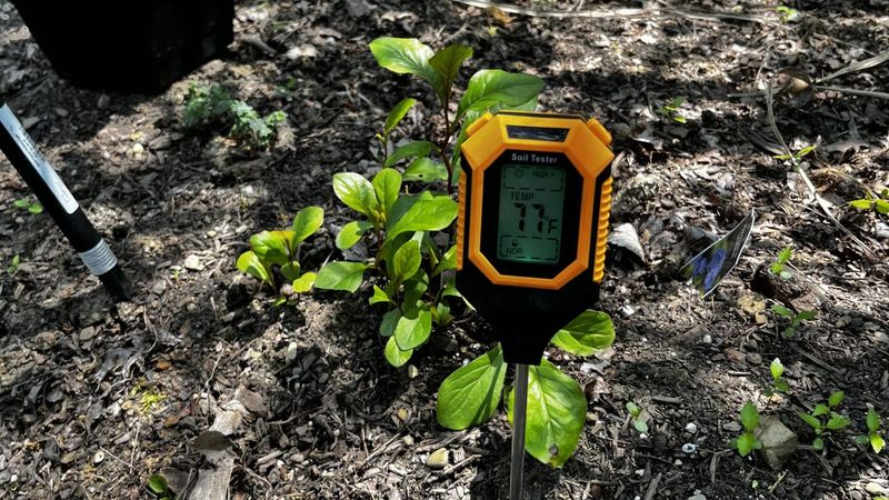 Use rainfall and root-zone moisture to guide each watering