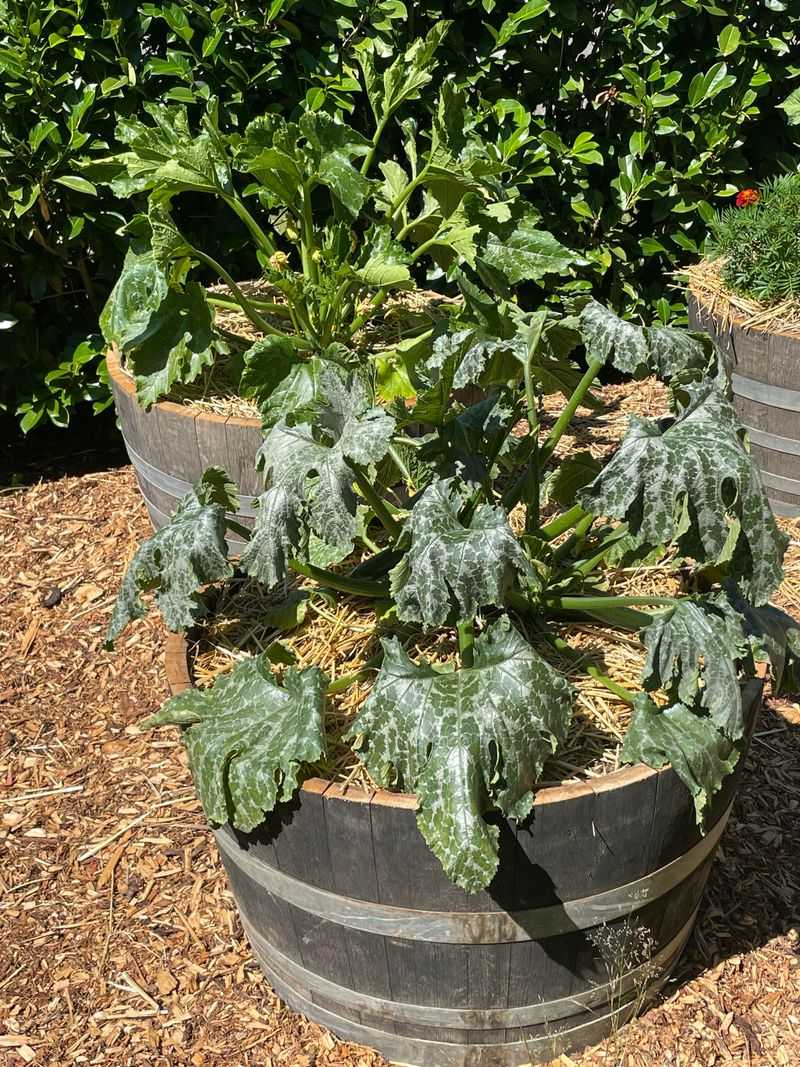 Use recovery and soil moisture to choose your next step