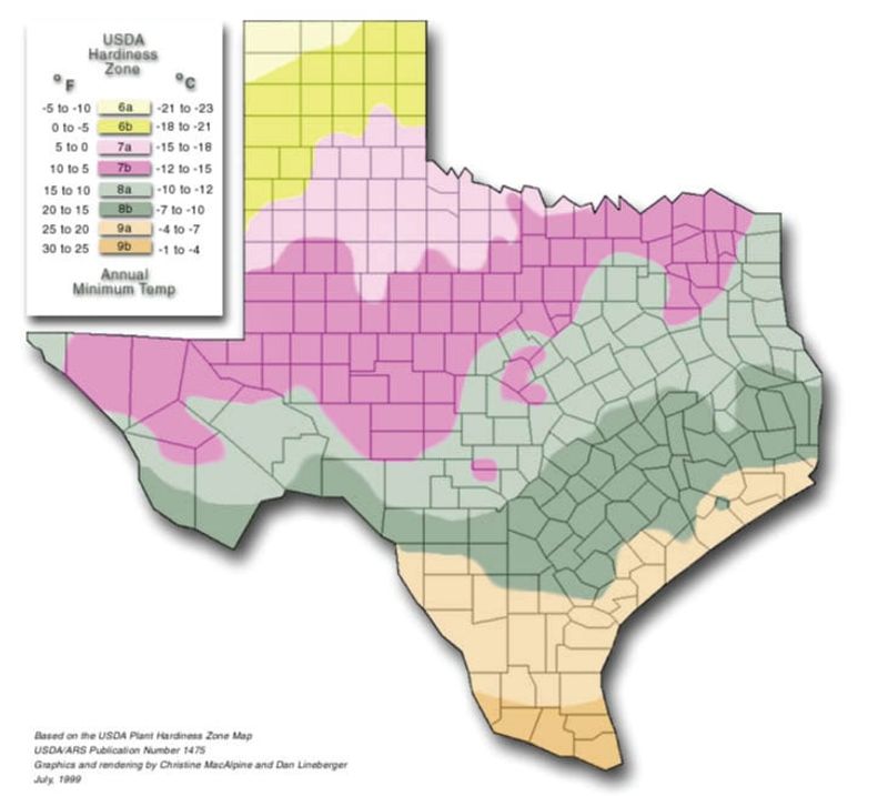 Use regional timing and backup plans for the fall crop