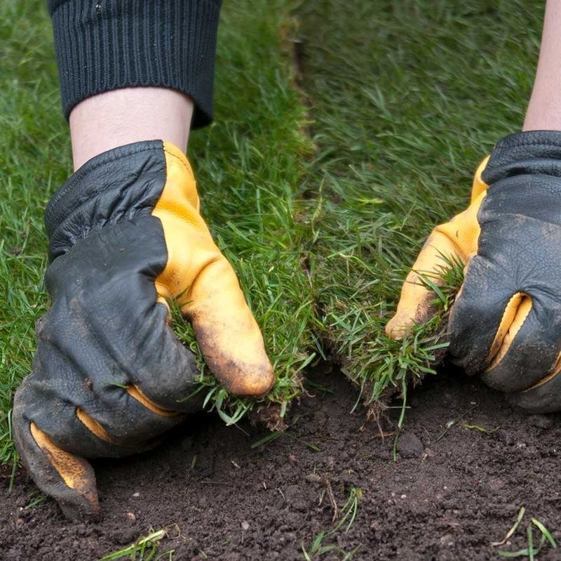 Use renovation methods for deep holes and major grades