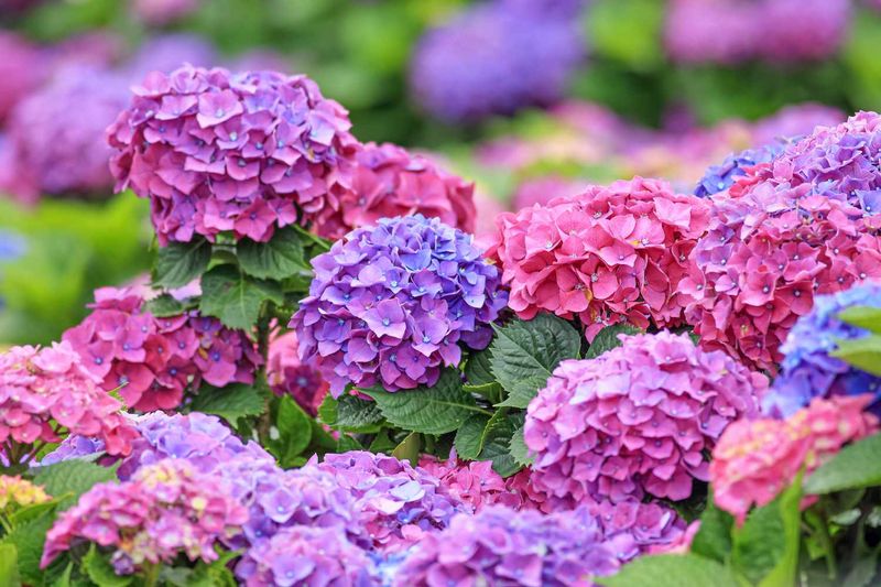 Use restrained fertilizer only when evidence supports it