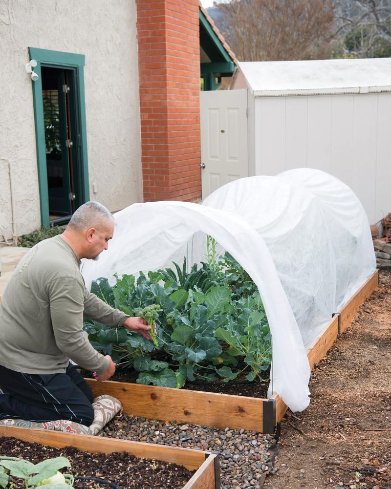 Use row covers for more controllable fall-crop protection