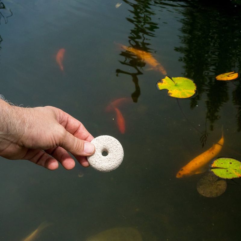 Use targeted larval control only when water must remain