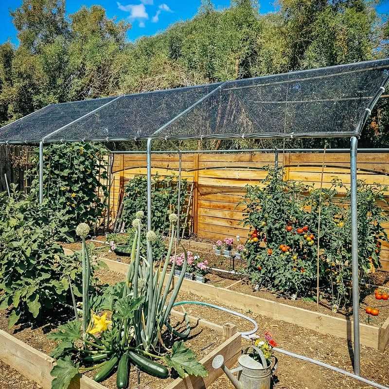 Use temporary afternoon shade to reduce extreme heat Use temporary afternoon shade to reduce extreme heat