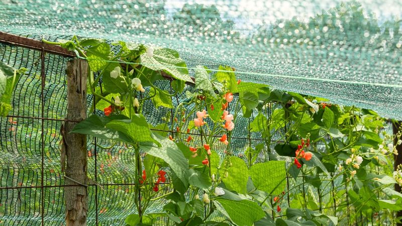 Use temporary shade as a heat-relief measure