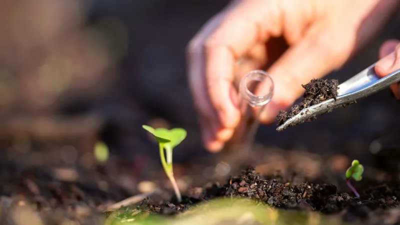 Use testing and garden history to guide fertilizer decisions