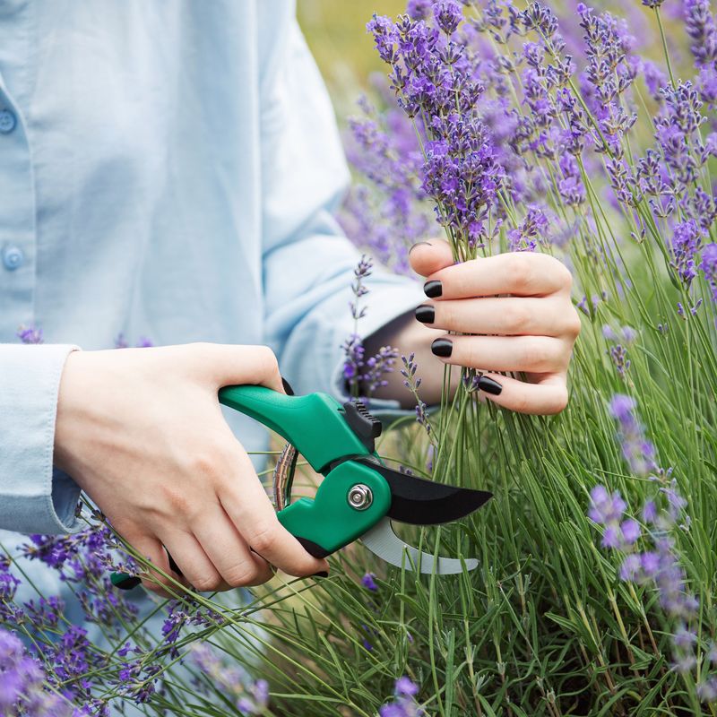 Use the green-growth rule, not a guaranteed one-cut fix