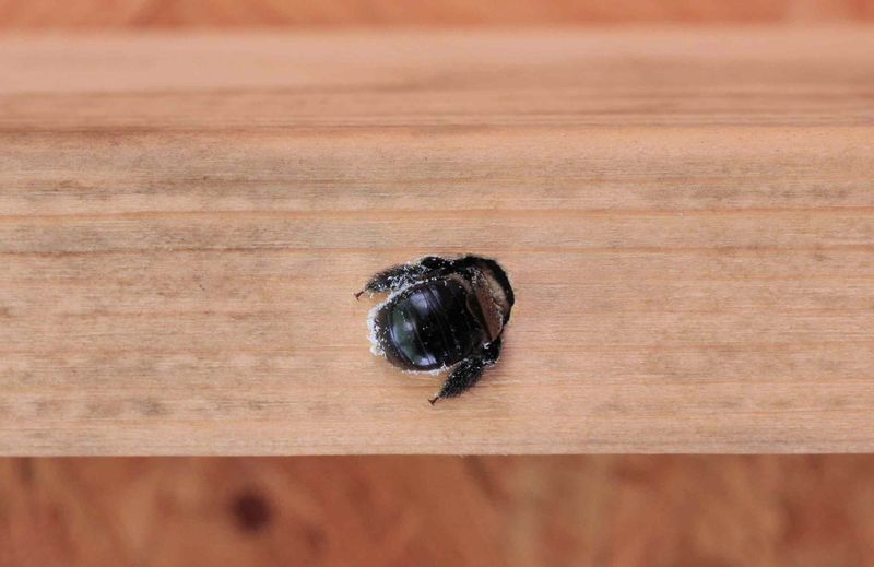 Use the holes as clues, then match the response to the actual damage