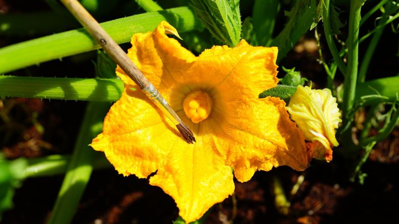 Use the next morning bloom as your reality check Use the next morning bloom as your reality check