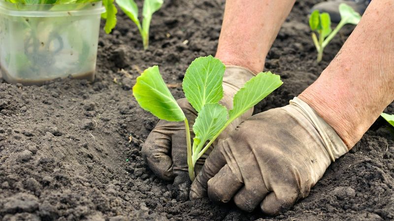 Use the plant’s response to choose the next step