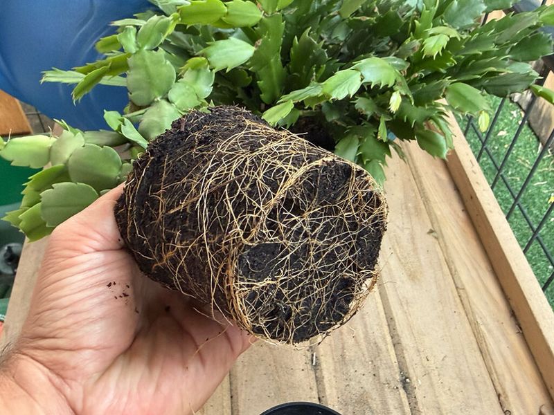Use the pot to separate thirst from root trouble Use the pot to separate thirst from root trouble