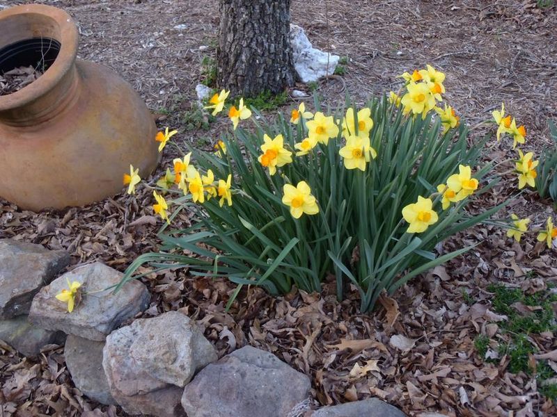 Use the right fall planting window for your region