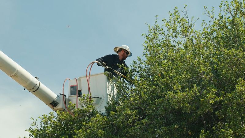 Use the safe sequence before changing the yard