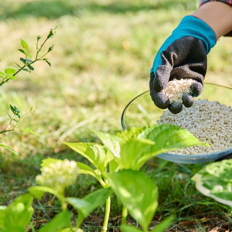 Use water and fertilizer as support, not a bloom switch Use water and fertilizer as support, not a bloom switch