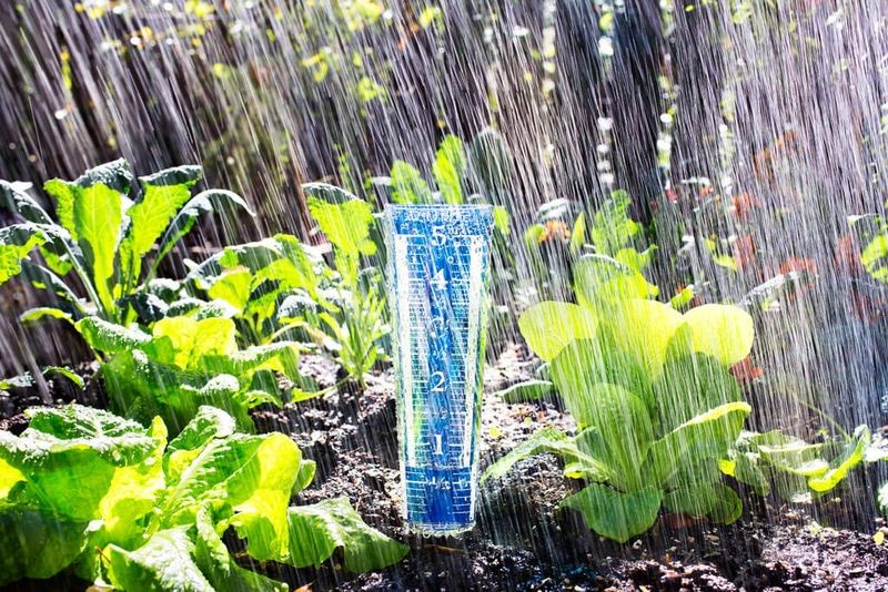 Use weekly water ranges as planning tools, not fixed rules