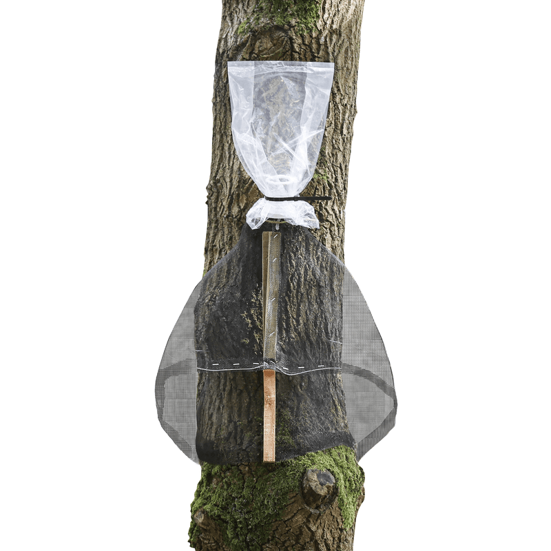Use wildlife-safe controls and keep monitoring