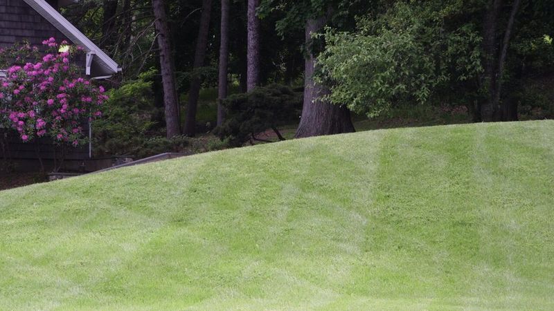 Use yard changes that reduce contact with tick habitat Use yard changes that reduce contact with tick habitat