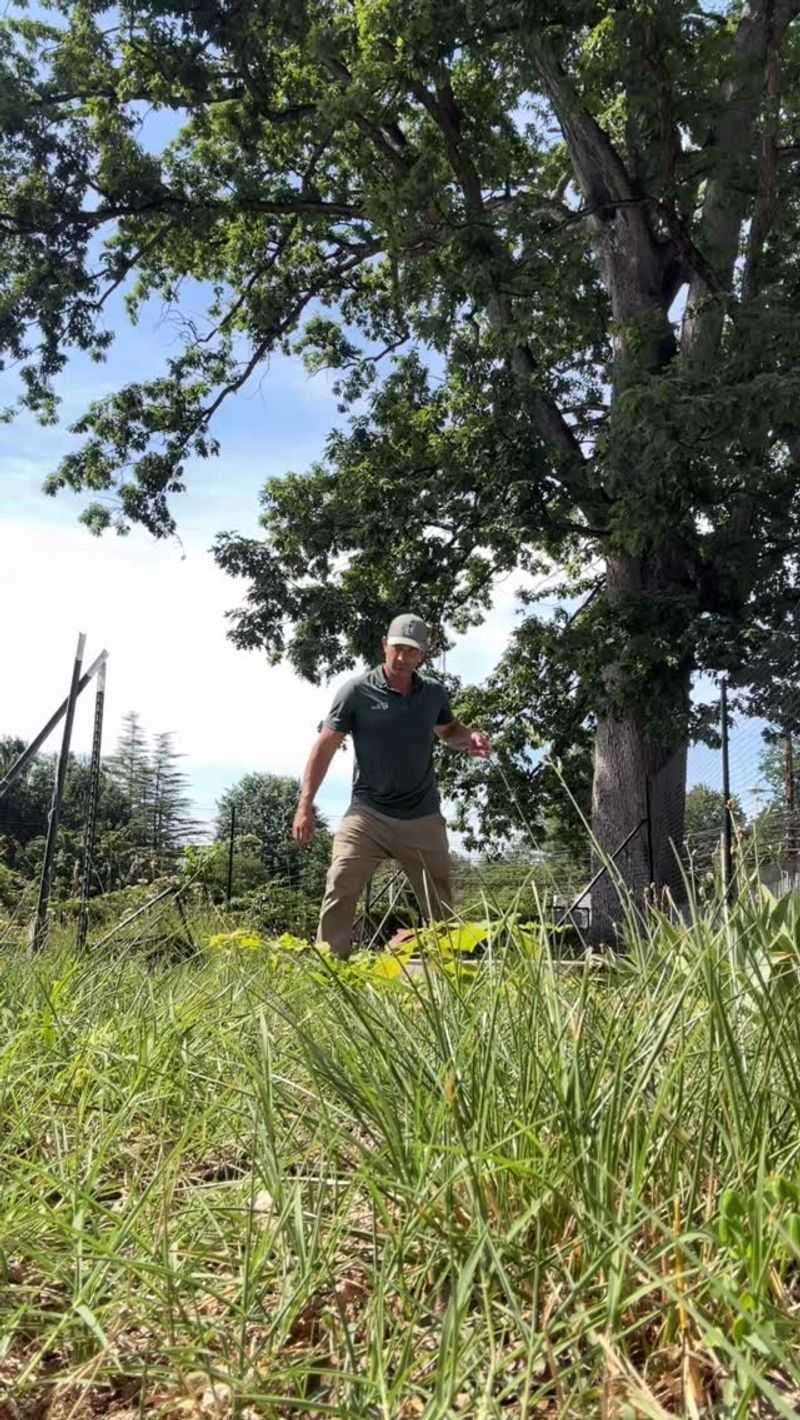 Use yard maintenance to reduce tick-friendly conditions
