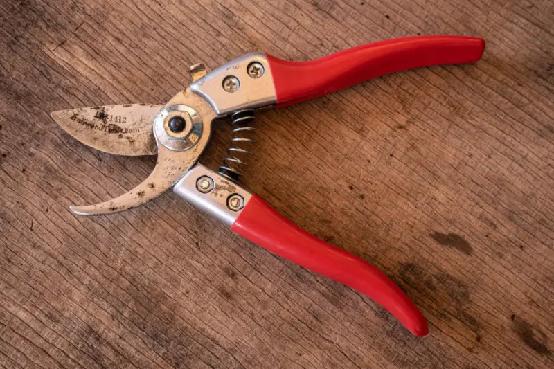 Using Dirty or Dull Tools