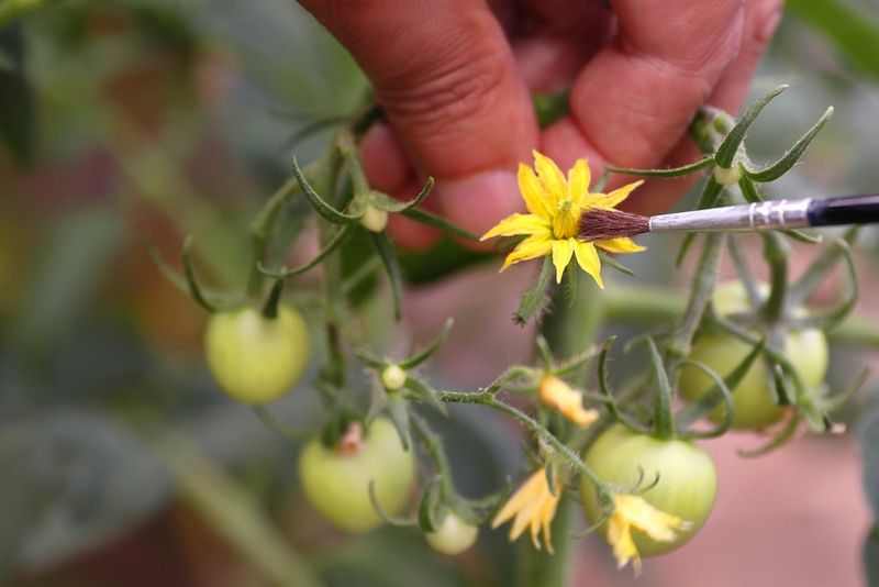 Vibrate attached flowers only as a secondary step