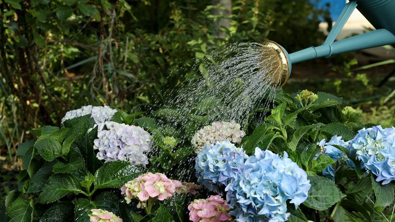 Water Deeply and Consistently Water Deeply and Consistently