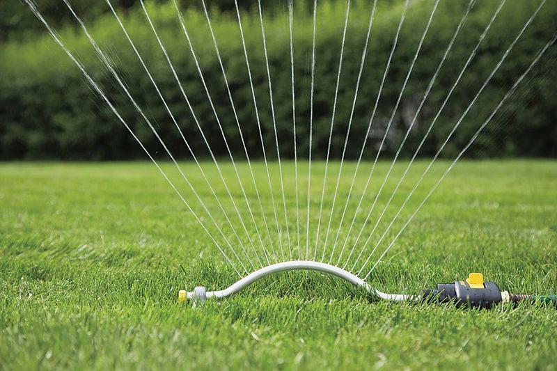 Water Deeply and Slowly When the Lawn Shows Moisture Stress Water Deeply and Slowly When the Lawn Shows Moisture Stress