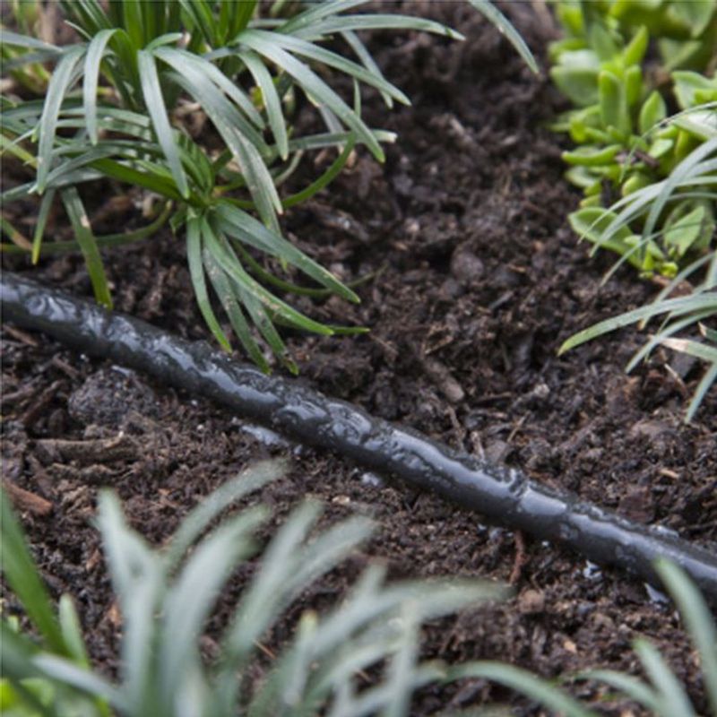 Water a Dry Root Zone Slowly and Thoroughly Water a Dry Root Zone Slowly and Thoroughly
