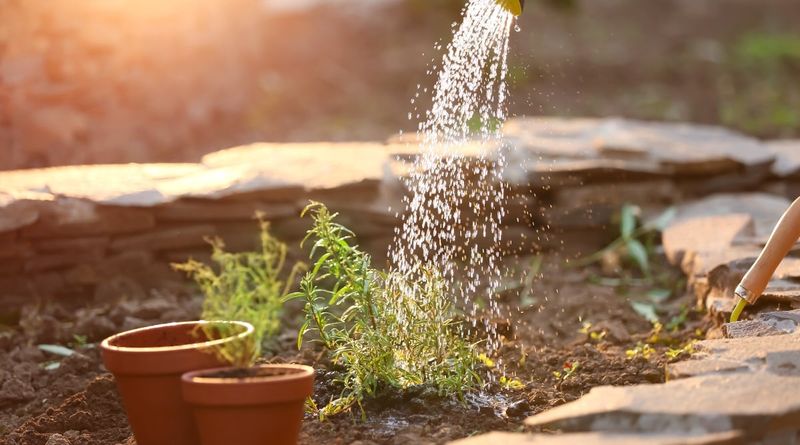 Water and Fertilizer Are Separate Health Questions