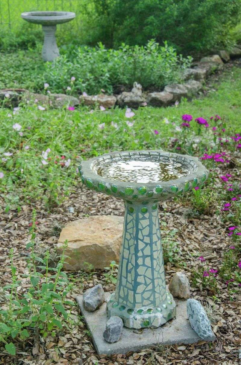 Water supports wildlife but cannot establish a territory