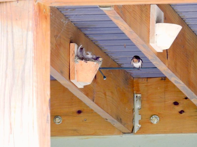 Ways to support nesting without promising results