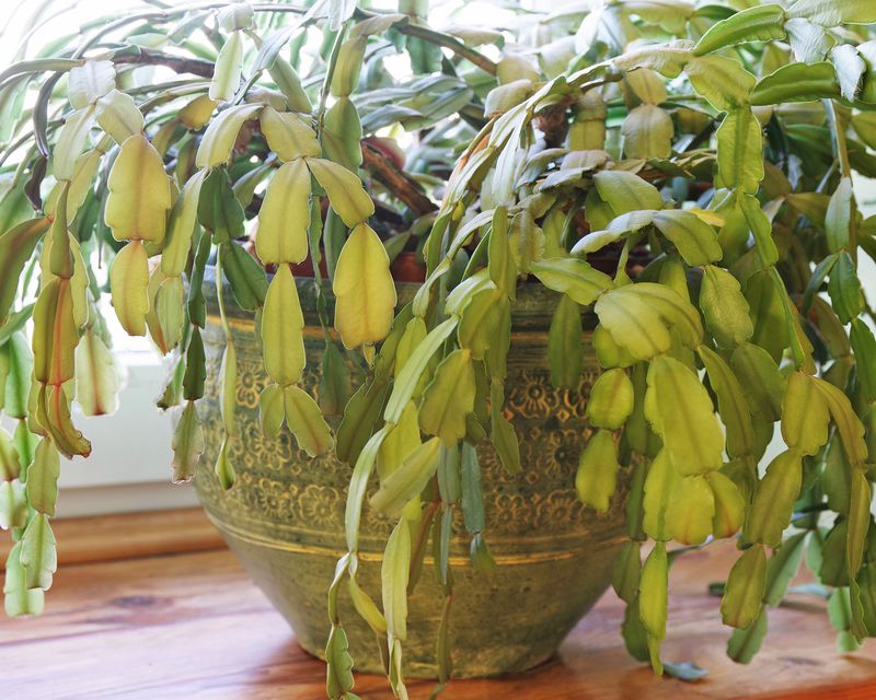 Wet soil makes the root zone the first place to look