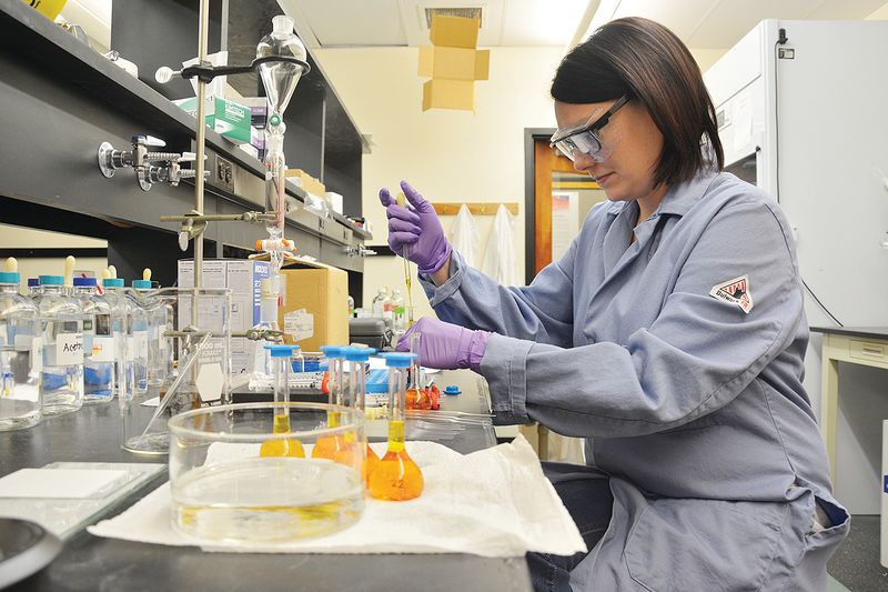 What beautyberry’s laboratory evidence actually shows