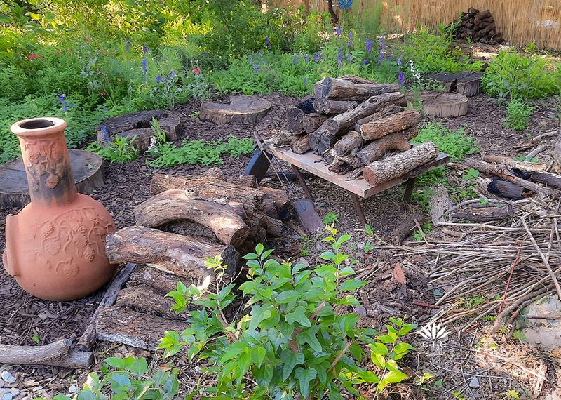 What does an alligator lizard habitat patch look like?