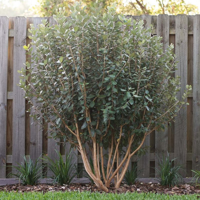 What low maintenance really requires