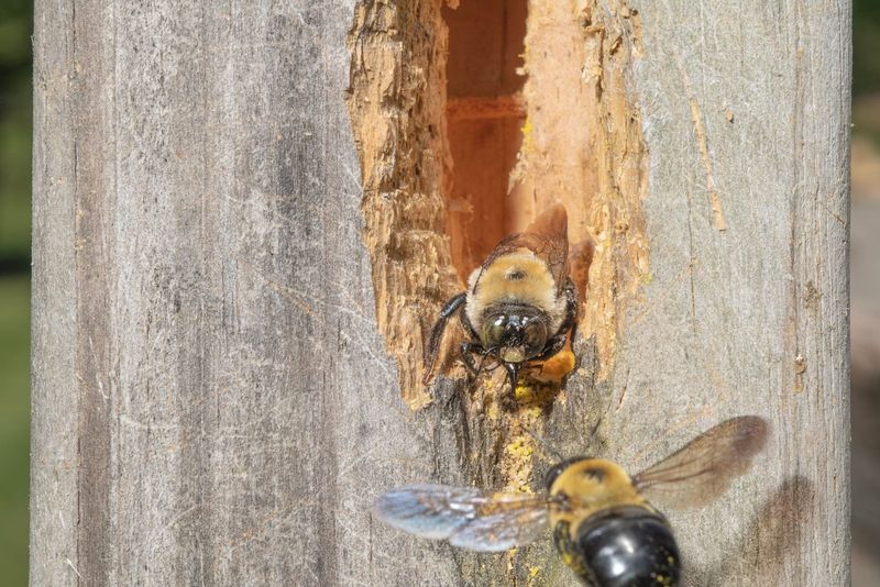 What should you do about an active hole?