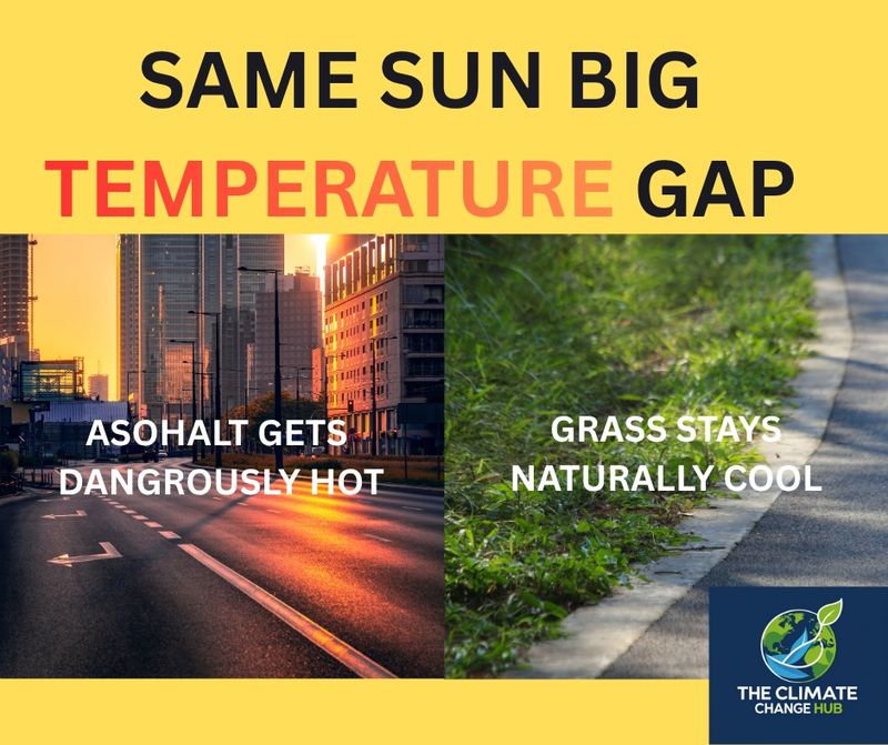 What the 20-degree comparison really measures What the 20-degree comparison really measures