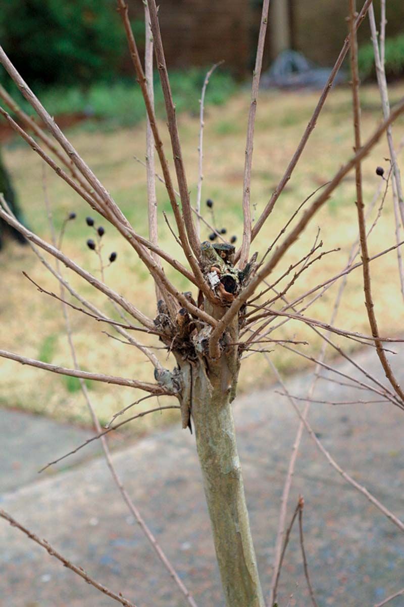 What to Remove During a Late-Summer Inspection