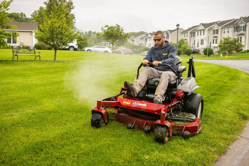 When should leaves leave the lawn?