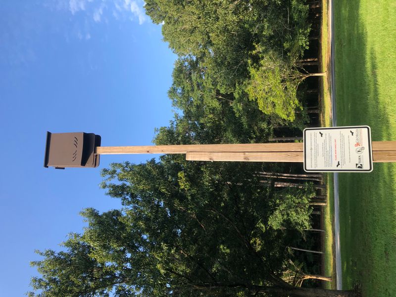 Where should a Central Texas bat house go?