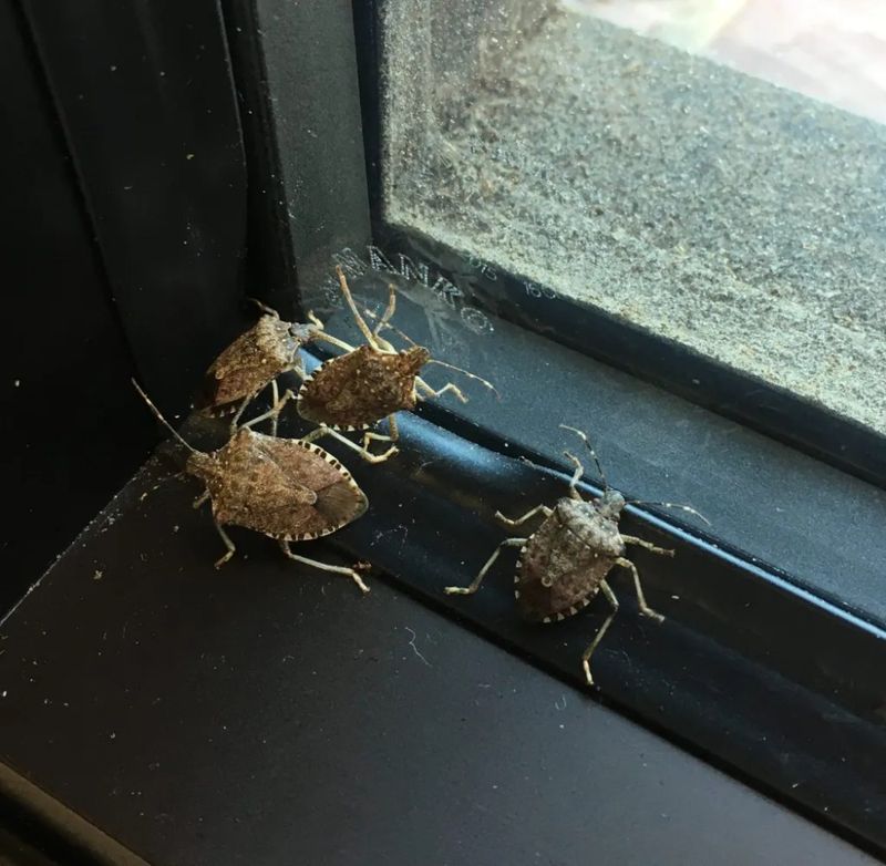 Why Does the Porch Become the Meeting Place?