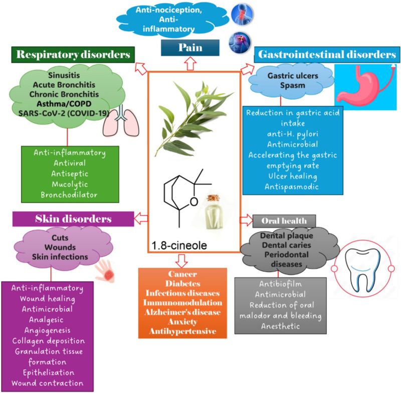 Why Repellent-Oil Studies Do Not Prove a Living Plant Works