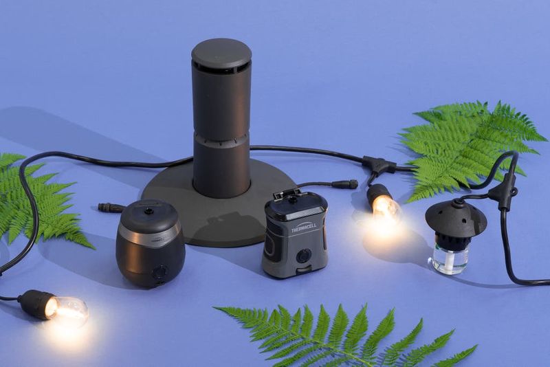 Why a colony cannot promise a mosquito-free patio
