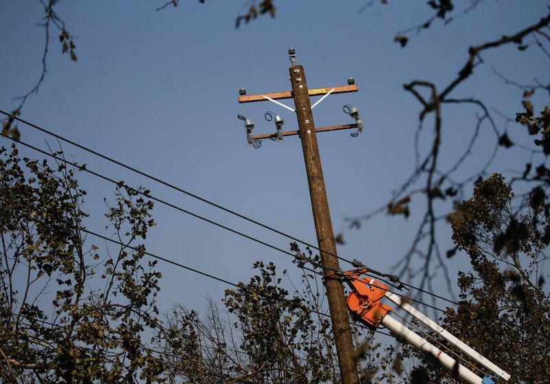Why a tree near a power line can become a real hazard