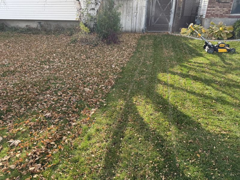Why fine leaf pieces help while whole leaves hurt