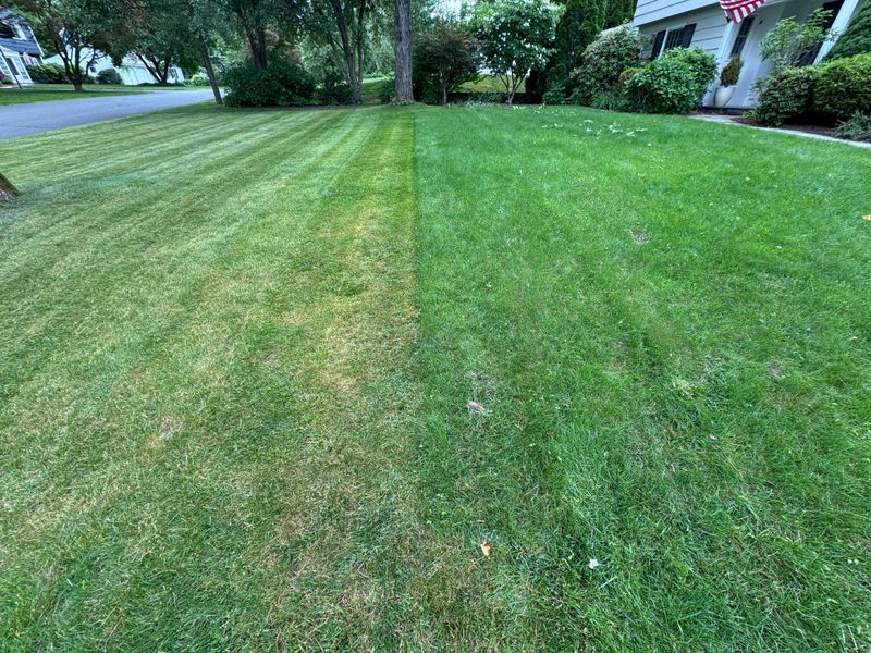Why one drastic cut compounds heat stress